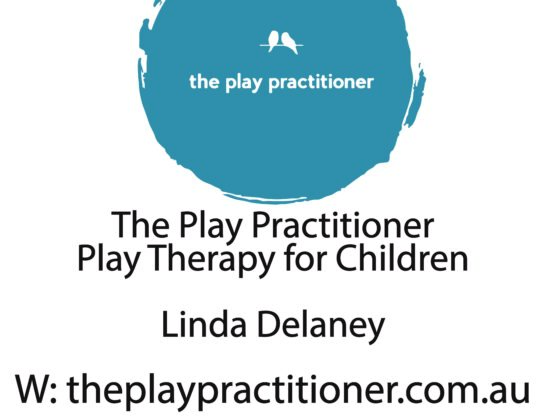 Linda The Play Practitioner